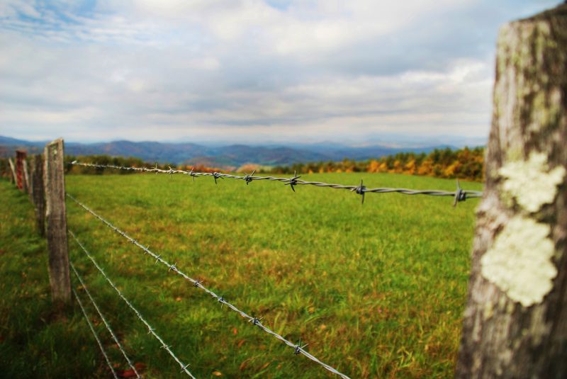 Barb Wire Fencing Repair detail