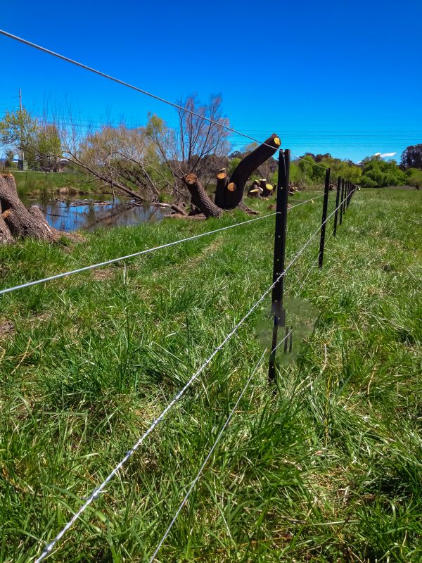 Wire Fence Replacement detail